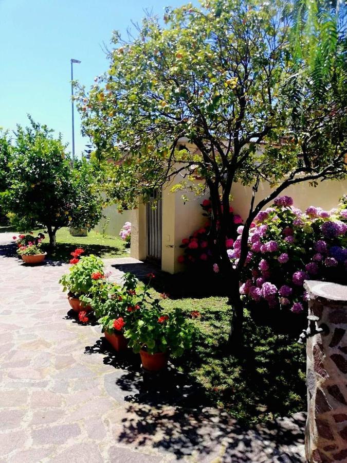 Apartament A Casa Di Iole Fiumicino Zewnętrze zdjęcie